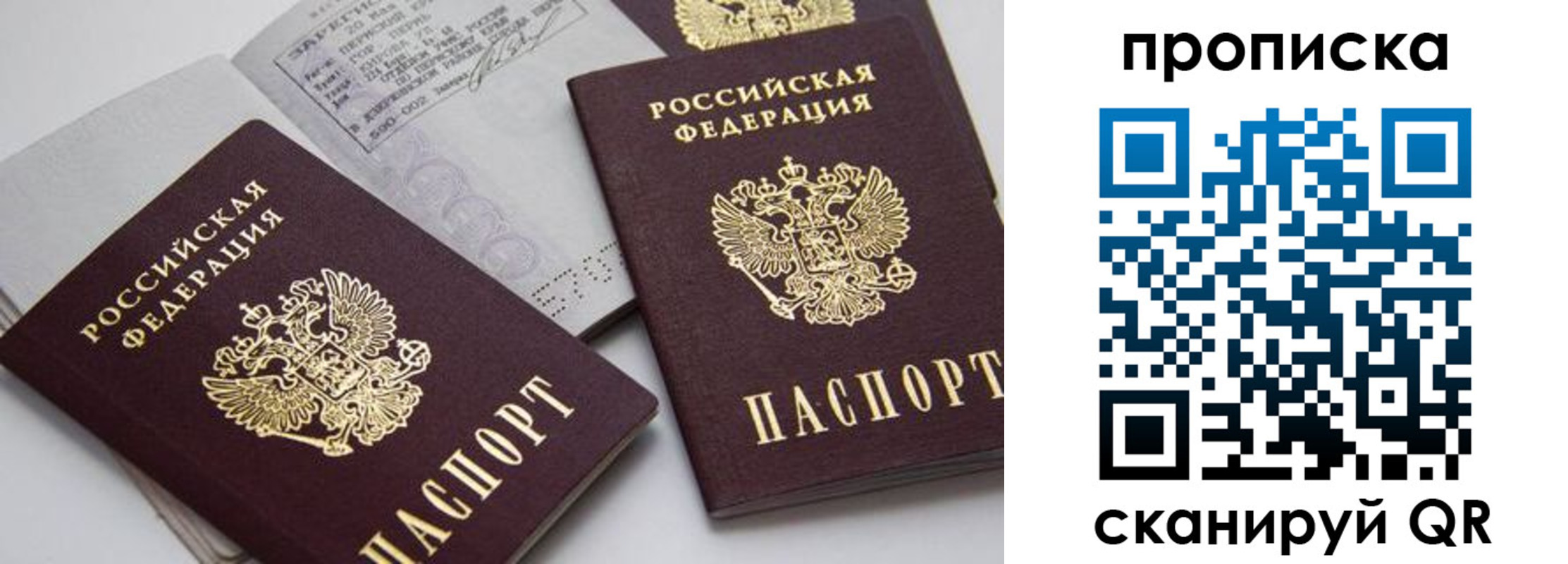 прописка в Михайловске